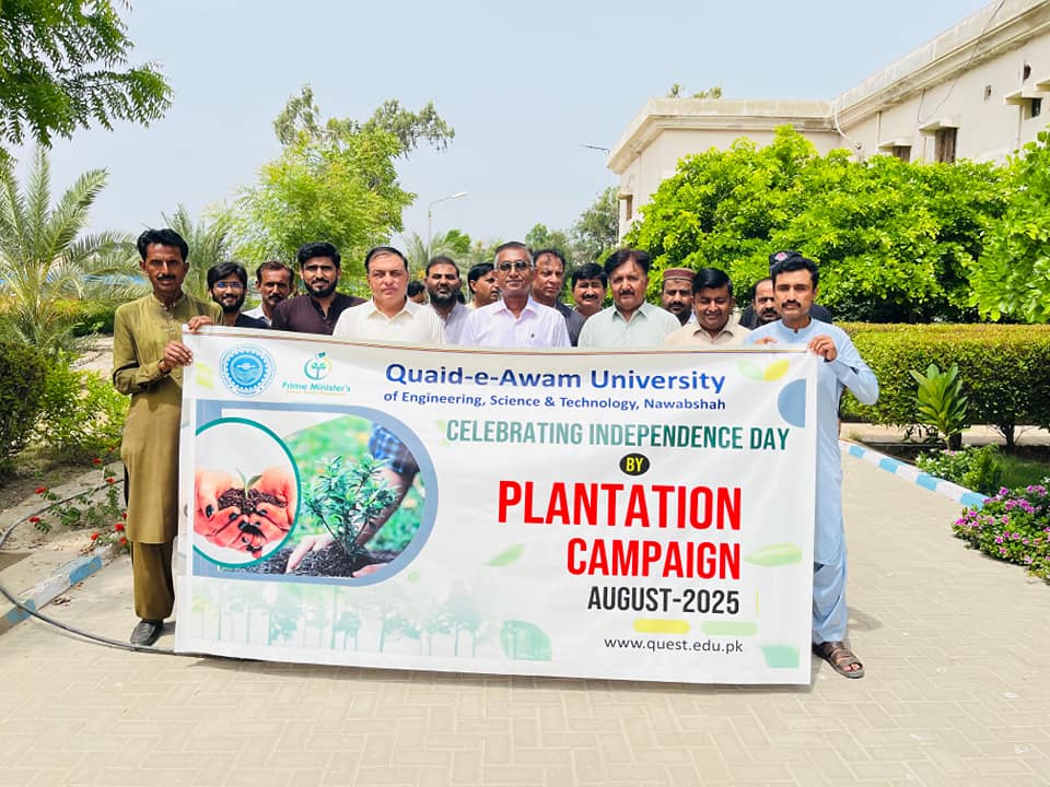 Tree Plantation