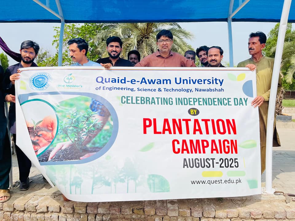Tree Plantation